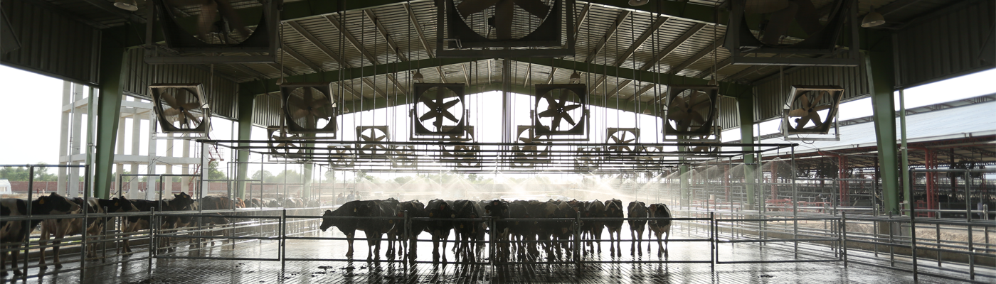 Sustainable-farming